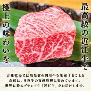 近江牛 焼肉 500g 冷凍 ロース 近江牛 近江牛 近江牛 近江牛 近江牛