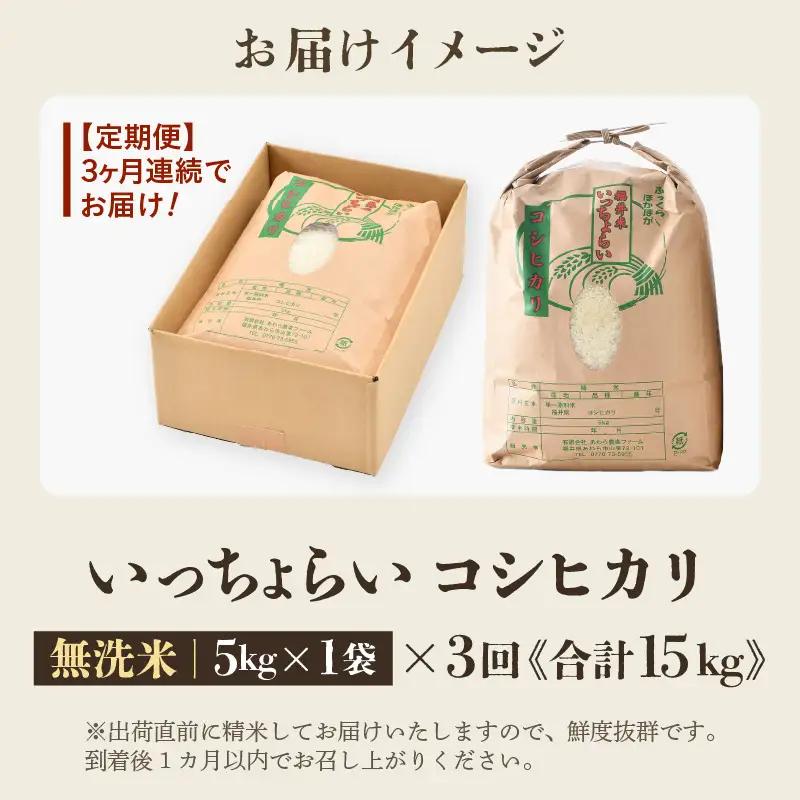 【先行予約】【令和8年産・新米】【一等米】《定期便3回》いっちょらい 無洗米 5kg × 3回（計15kg）／ 福井県産 ブランド米 コシヒカリ ご飯 白米 新鮮 大賞 受賞 ※2026年10月上旬以
