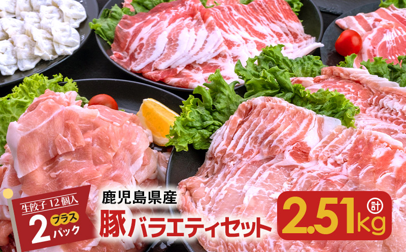
鹿児島県産豚バラエティセット2.51kg＋生餃子2P 　K208-014
