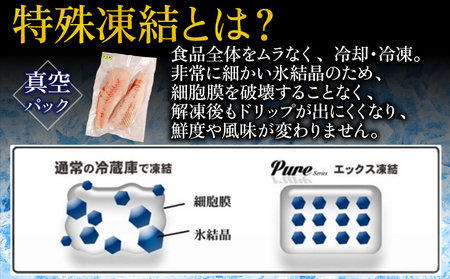 平目フィーレ 瞬間冷凍 約1kg ヒラメ ヒラメ ヒラメ ヒラメ ヒラメ カネ八商店