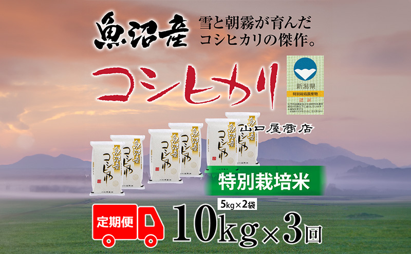 
            定期便 全3回 特別栽培米 魚沼産コシヒカリ 5kg×2袋
          