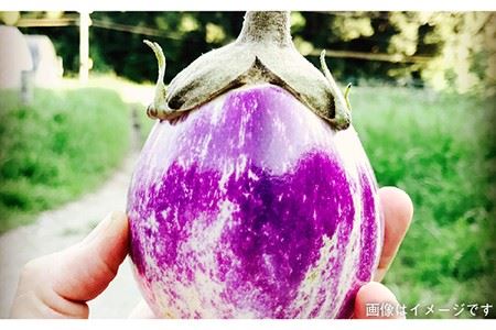 【 全6回 定期便】 朝採り オーガニック 旬 野菜 お任せ 5品 ＋ 糸島産 大ヒット 特産 加工品 2品 のセット《糸島》【オーガニックナガミツファーム】 	[AGE030]
