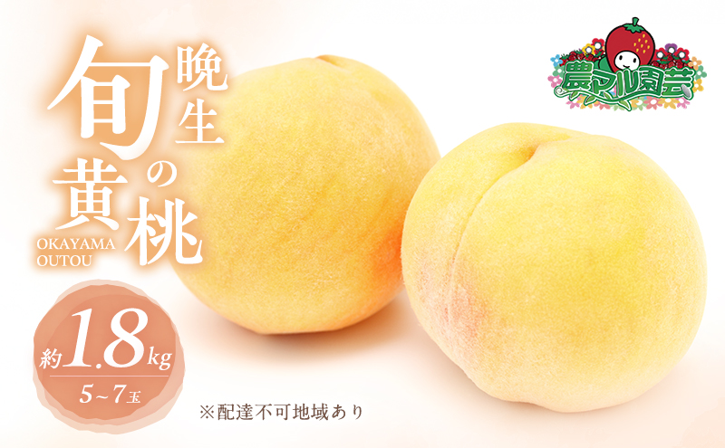 桃 2025年 先行予約 晩生の旬の 黄桃 約1.8kg 5～7玉 進物用 もも フルーツ 果物 岡山 赤磐市産 農マル園芸あかいわ農園 2025年 先行予約