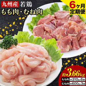 【6ヶ月定期便】 九州産若鶏もも肉（310g×6袋）・むね肉（600g×3袋）セット  鶏肉 お肉 モモ肉 もも肉 ムネ肉 むね肉 2種類 小分け 冷凍 九州産 国産 熊本県 菊池市 送料無料《お申し込みの翌月から出荷》