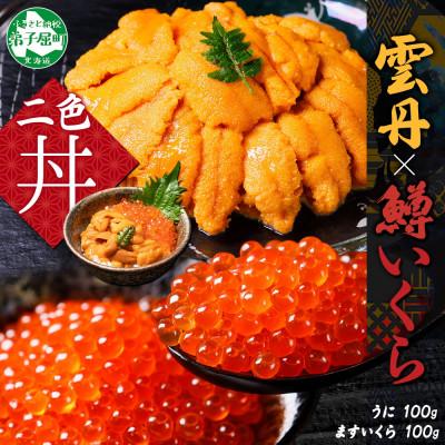 ふるさと納税 弟子屈町 ウニ 100g 鱒いくら醤油漬け 100g 2種 海鮮丼 北海道 弟子屈町 3618