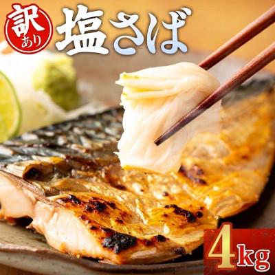 ふるさと納税 羽島市 【訳あり】ノルウェー産　塩さば　フィレ　約4kg