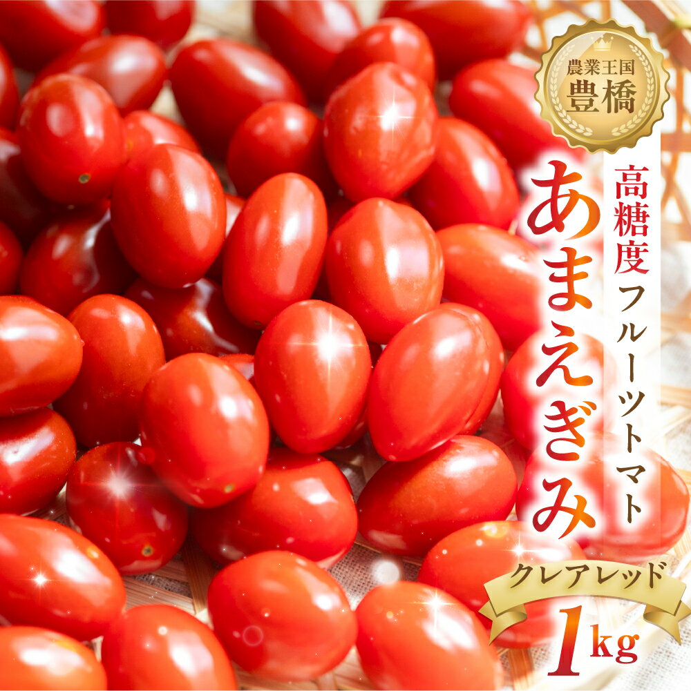 【ふるさと納税】あまえぎみ クレアレッド フルーツトマト 1キロ 1kg たっぷり ミニトマト プチトマト トマト 高糖度 甘い フルーツ 野菜 お弁当 サラダ ギフト リコピン 完熟 新鮮 おいしい とまと ブランドトマト 愛知県 豊橋市