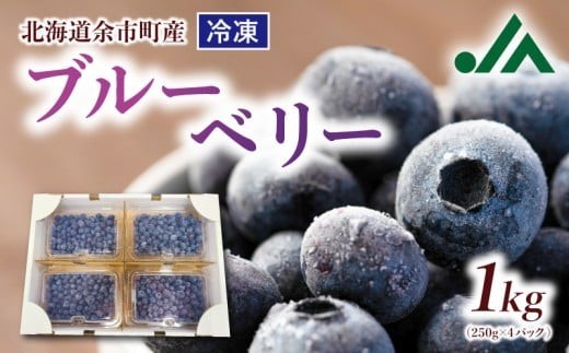 
                  甘い! ジューシー! 余市町産冷凍ブルーベリー 250g×4パック 北海道産ブルーベリー 北海道ブルーベリー 余市産ブルーベリー 余市町ブルーベリー  ブルーベリー 1kg フルーツ 冷凍フルーツ 果物
                