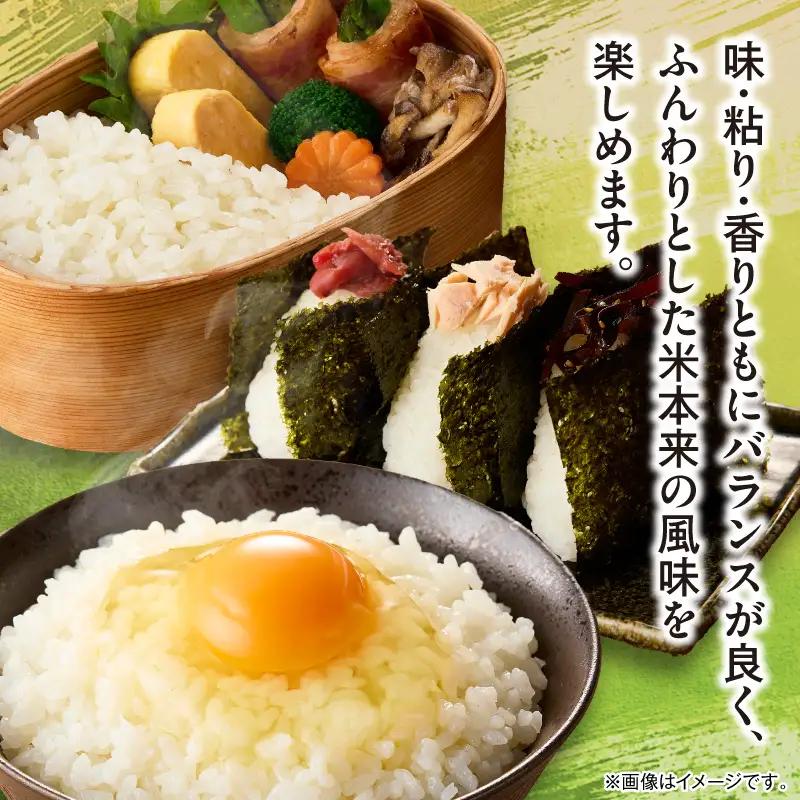 延岡産ヒノヒカリ（無洗米）5kg N0218-YB361