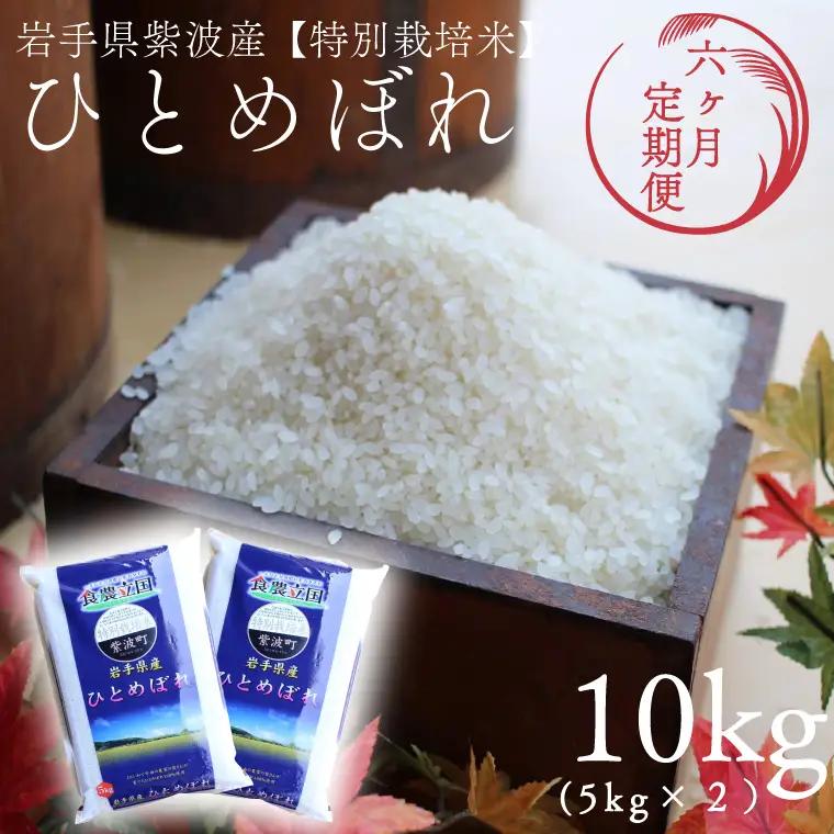 【 新米 】【6回定期便】お米 10kg (5kg×2) ( 総計60kg ) 白米 ひとめぼれ 特別栽培米 ★令和8年産★ 精米 AD084