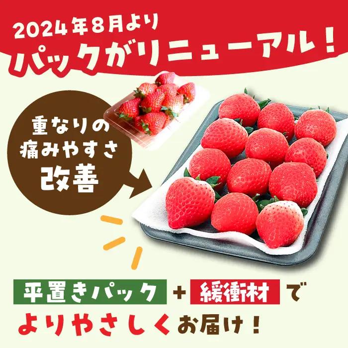 【1月から3月発送】【3回定期便】いちごさん 約800g（約200g×4P）いちご イチゴ 苺[FDF002]