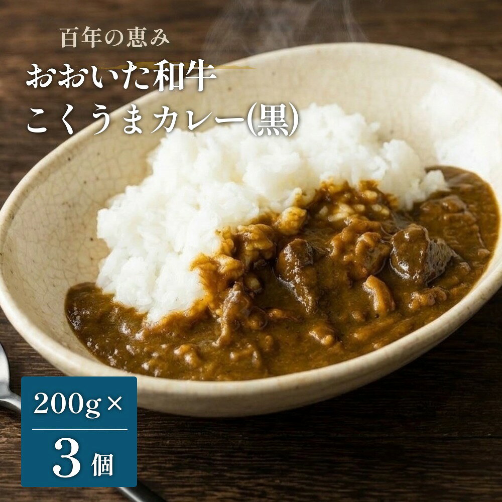 【ふるさと納税】百年の恵み おおいた和牛こくうまカレー(黒) 3個セット