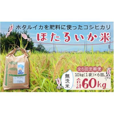 ふるさと納税 滑川市 【毎月定期便】ほたるいか米　無洗米　10kg全6回