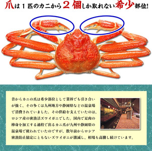 ［順次発送］切れ目入り ボイルずわいがに爪 1kg (解凍後700g / 10～20個入り）[024-b028]【かに カニ 蟹 ずわいがに ずわい蟹 人気 かに鍋 鍋 甲羅組】