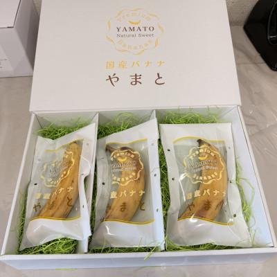 ふるさと納税 郡上市 国産バナナ やまと　約160g×3本