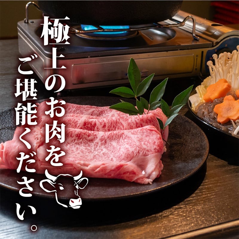 【定期12回】土佐 黒毛 和牛 しゃぶしゃぶ用 計6kg【500g×12ヶ月連続お届け】3Zコース