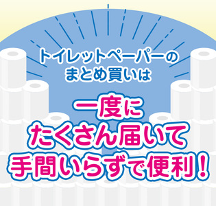 人気急上昇 数量限定 大人気！ 高品質 トイレット ペーパー シングル 【 定期便12回 】 12ロール入り 4パック  ｜ トイレットペーパー  天然  やさしい 肌触り 日用品 ふるさと 納税 常