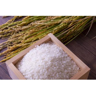 ふるさと納税 最上町 数量限定!【無洗米】令和7年産山形県産もがみ誉れ10kg |  | 01