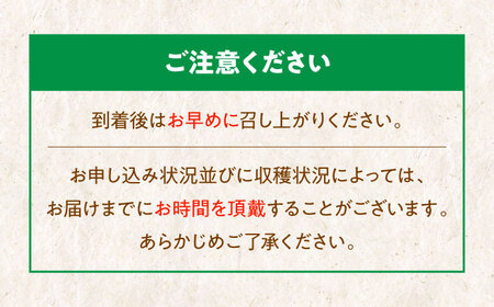 【先行予約】【9月初旬より順次発送】ジュワッと果汁が溢れ出る、家族みんなが笑顔になる。ご家庭用シャインマスカット約2kg（3〜5房）　愛媛県大洲市/沢井青果有限会社 [AGBN006]マスカットぶどう