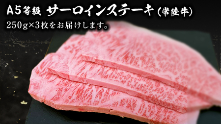 常陸牛 A5 等級 サーロイン ステーキ 250g × 3枚 ( 合計 750g ) あらびき わさび 1本付き ( 茨城県共通返礼品 ) 黒毛和牛 国産黒毛和牛 和牛 国産 牛肉 牛 お肉 肉 ひた