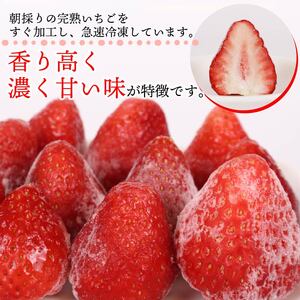 冷凍いちご 紅ほっぺ  3kg 【 冷凍いちご 】森木農園