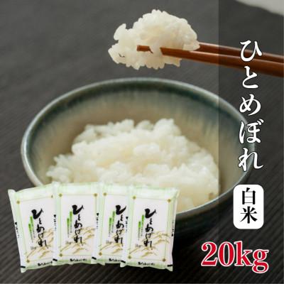 ふるさと納税 酒田市 ひとめぼれ 白米 5kg×4袋 計20kg