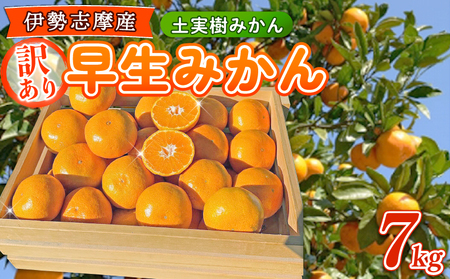 【ふるさと納税】【先行予約】早生みかん （土実樹みかん） 7kg 訳あり 【2025年11月下旬～12月下旬頃発送】 柑橘 フルーツ みかん 産地直送 お取り寄せ 送料無料