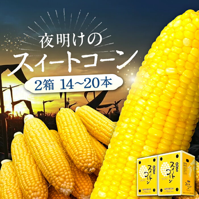 【ふるさと納税】【先行予約】夜明けのスイートコーン 4kg×2箱 (14〜20本) 【2026年6月以降順次発送】《豊前市》【アグリネックス】 とうもろこし コーン スイートコーン 24000円 [VCO002]
