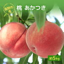 【ふるさと納税】長野市産桃「あかつき」約5kg 　お届け：2025年7月下旬～8月上旬