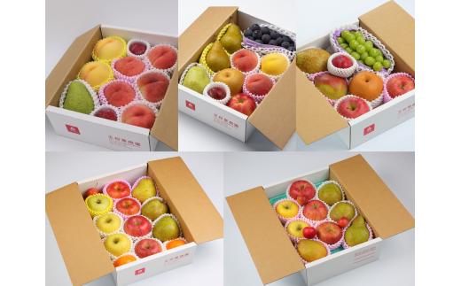 08-03-040　おいしいやまさくプランM全5回