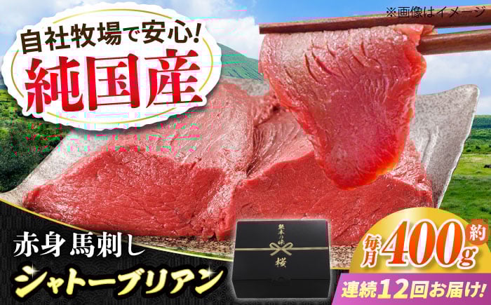 
            【全12回定期便】『純国産』熊本の味 赤身 馬刺し シャトーブリアン 計約400g（約200g×2パック）チルド 冷蔵 ブロック【有限会社 九州食肉産業】 [AYCN067]
          