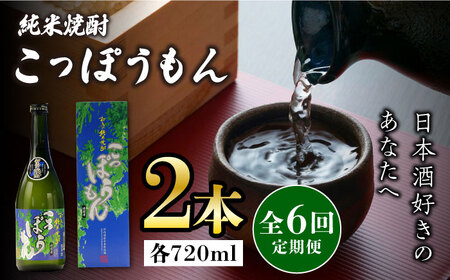 【全6回定期便】純米焼酎 こっぽうもん 25度 720ml 2本セット対馬 酒 贈り物 米焼酎 焼酎  [WAX026]