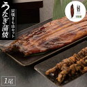 【ふるさと納税】紀州備長炭　炭焼うなぎ蒲焼1本（特大） 　炭焼きも串セット | うなぎ 鰻 ウナギ 国産 蒲焼き かばやき 冷凍 うな重 ひつまぶし お取り寄せ 和歌山県 有田川町 タレ 山椒 ランキング 人気　特産品 お取り寄せ グルメ プレゼント ギフト 高級 食べ物 食品