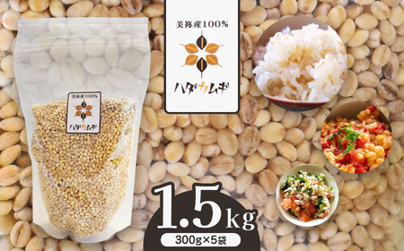 はだか麦 5袋セット