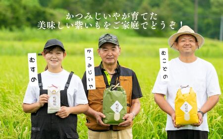 農家直送！とろける濃密紫いも3kg 野菜 芋 いも 紫いも むらさきいも お芋 3キロ 3kg 人気 名産 ねっとり 甘い 甘味 国産 産地直送 おすすめ お中元 お歳暮 ギフト 二本松市 ふくしま 