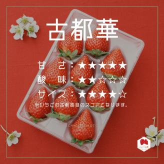 【奈良県知事賞受賞】ギフトボックス入り古都華（ことか）2Lサイズ（8～9粒入り）×2パック｜とのあさイチゴ農園※着日指定不可※2024年1月中旬～5月初旬頃に順次発送予定
