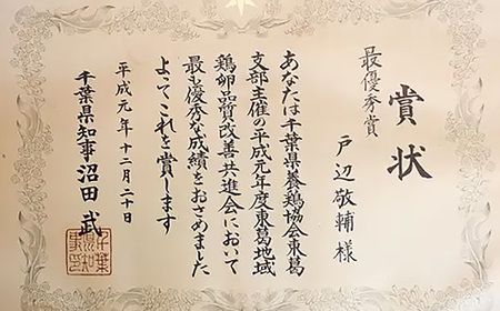 No.091 【毎月定期便6回】美味しい産みたて朝採り新鮮たまご（手集卵）ミネラルエッグ30個×6回