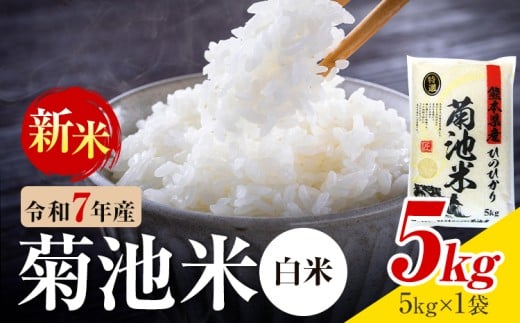 令和7年産 熊本県産 菊池米 白米 5kg 1袋5kg 株式会社くまもとごはん 《30日以内に出荷予定(土日祝除く)》米 お米 令和7年産 九州産 熊本県産  送料無料