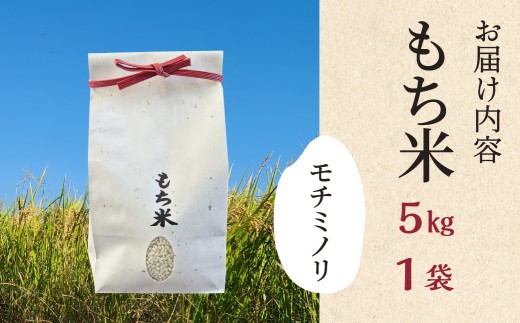 もち米ランキング1位！ ≪令和7年度産即納≫ もち米 ランキング入り モチミノリ 5kg 農事組合法人わごう 岐阜県 大垣市