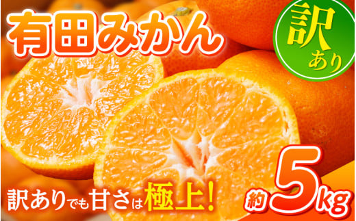 【訳あり】農家直送 有田みかん 約5kg ご家庭用 サイズ混合 ※2025年11月中旬より順次発送予定（お届け日指定不可）※北海道・沖縄・離島への配送不可 訳ありみかん みかん ミカン 蜜柑 柑橘 フルーツ 果物 くだもの 温州みかんサイズ混合 訳ありみかん 温州みかん 有機質肥料100% ふるさと納税 柑橘 有田 産地直送【nuk161C】