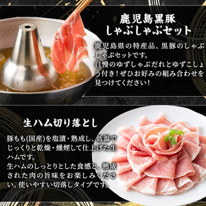 ＜定期便・全8回(連続)＞毎月違うお品をお届け！お楽しみ定期便(合計4.8kg以上) 牛肉 豚肉 定期便 【ナンチク・西日本養鰻】 T48