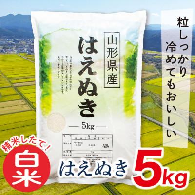 ふるさと納税 最上町 【白米】令和7年産山形県産はえぬき5kg