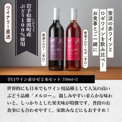ふるさと納税 紫波町 紫波辛口ワイン赤ロゼ2本セット(メルロー・メルローロゼ 各1本) |  | 03