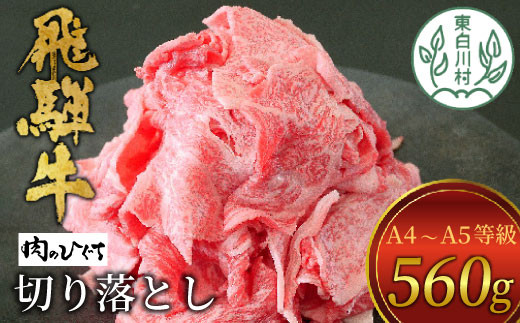 【2月発送】飛騨牛 切り落とし 560g A5 A4 国産 牛 冷凍 お試し 和牛 牛肉 切落し 切り落し 薄切り 訳あり 牛丼 すき焼き しゃぶしゃぶ 東白川村 岐阜 飛騨 贅沢 霜降り ロース バラ もも ウデ 肉のひぐち 10000円 一万円