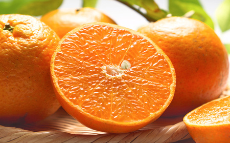 2026年発送【名護パイン園】　タンカン約10kg 先行予約 フルーツ 青果 期間限定 年末 数量限定 みかん 柑橘 沖縄 おきなわ 果実 ギフト 贈り物 子供 デザート 取り寄せ 旬 人気 おすすめ