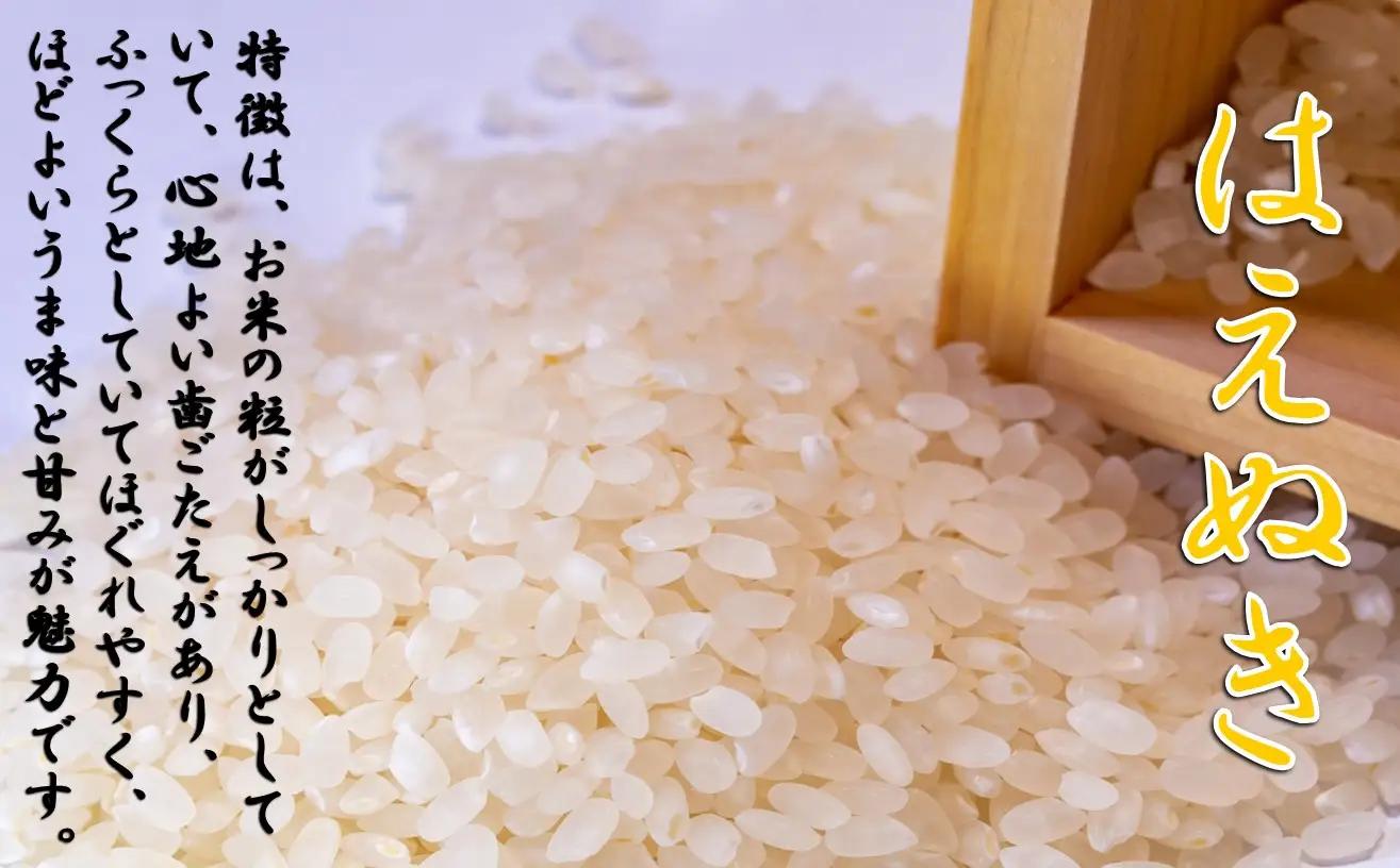 【令和８年産 新米】つや姫＆雪若丸＆はえぬき（各2kg×3袋 計6kg）　小国米穀商業協同組合