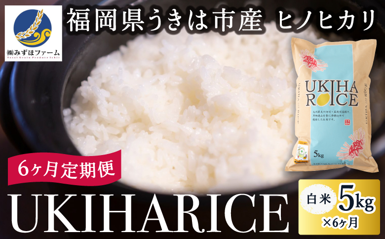 【6ヶ月定期便】みずほファーム UKIHA RICE (白米5kg×6ヶ月)  【2025年11月より順次発送予定】 米 ヒノヒカリ お米 ご飯 うきは市