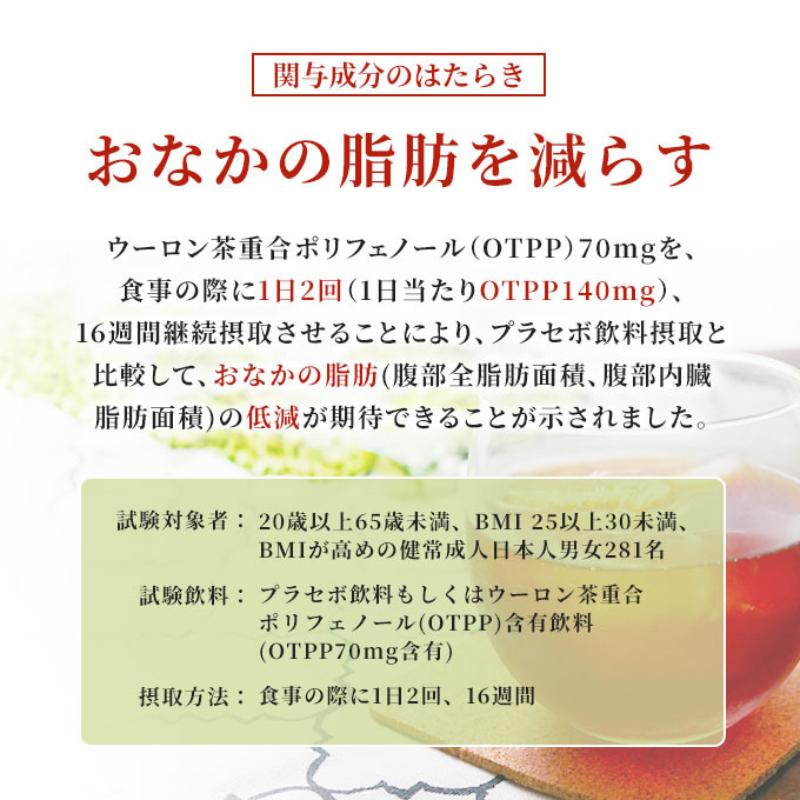 烏龍茶 定期便 2ヶ月 サントリー烏龍茶 OTPP 2L 12本 (6本×2箱) セット 詰め合わせ 機能性表示食品 お茶 サントリーウーロン茶 サントリー ペットボトル 中国茶 茶 脂肪を減らす 健