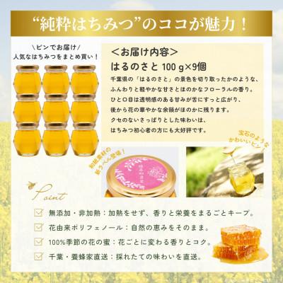 ふるさと納税 大網白里市 大網白里育ちの純粋はちみつ「はるのさと」(百花蜜)【計900g】100g×9個 |  | 03