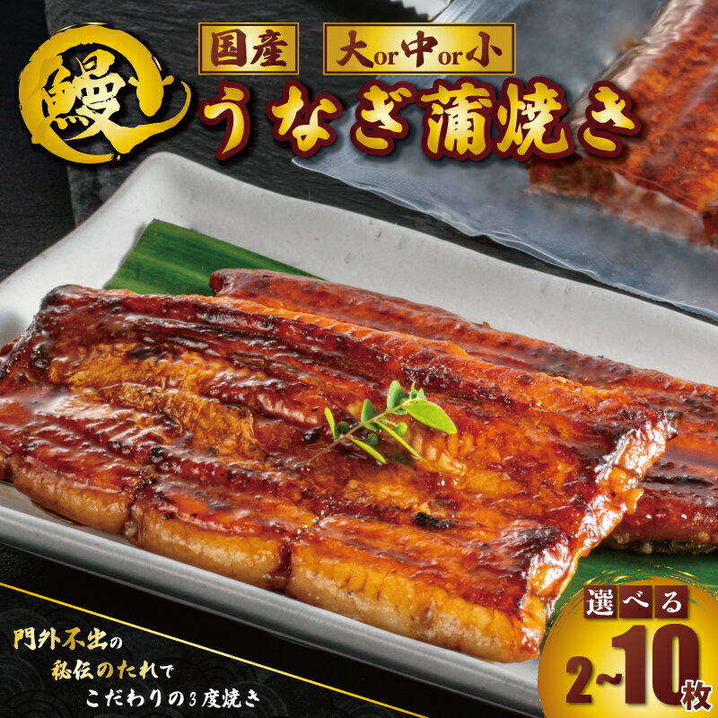 【ふるさと納税】 国産 うなぎ蒲焼 1枚約90~110g 選べる容量2〜10枚 タレ 山椒 付き うなぎ 鰻 蒲焼 うな重 鰻丼 うな丼 ひつまぶし 土用の丑の日 魚 海鮮 肉 冷凍 真空パック 魚介類 魚貝 高級 個包装 ギフト 贈り物 お中元 お歳暮 千葉県 銚子市 有限会社石毛川魚店